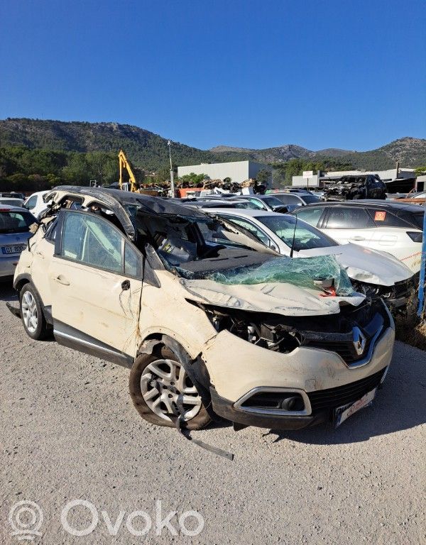 Captur Captur  8201535495