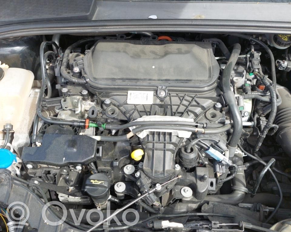 Focus Focus  2171302