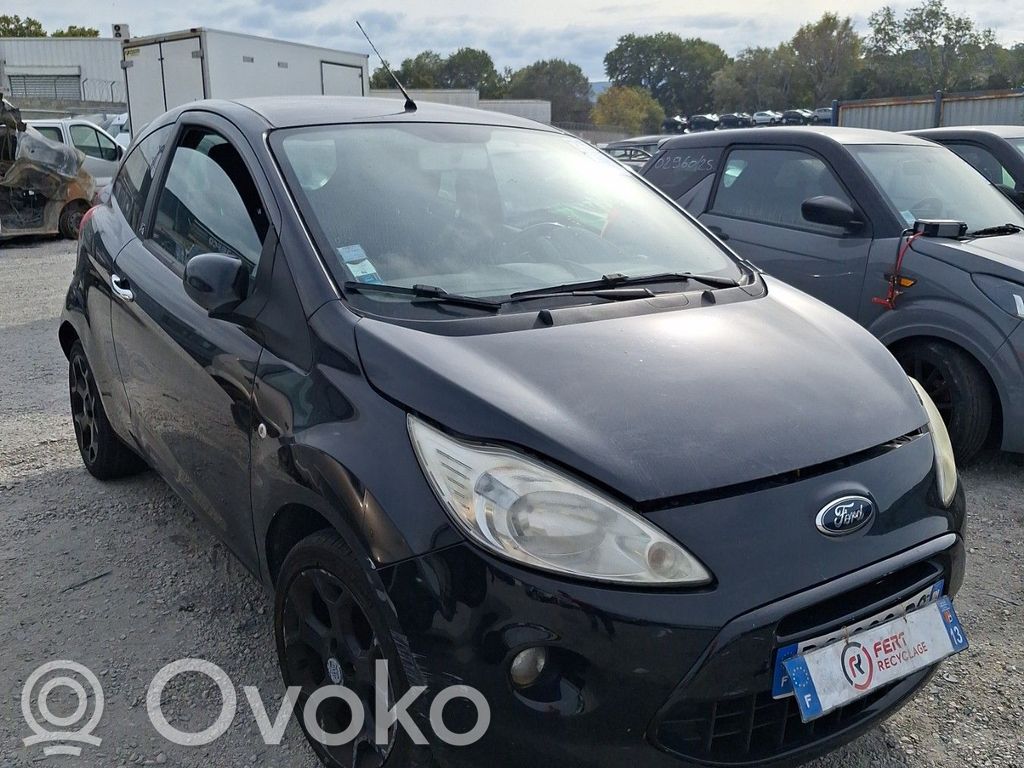 Ka Ka  1542419