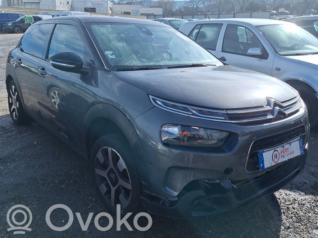 C4 Cactus C4 Picasso, Grand Picasso, Aircross, Cactus  9822716880