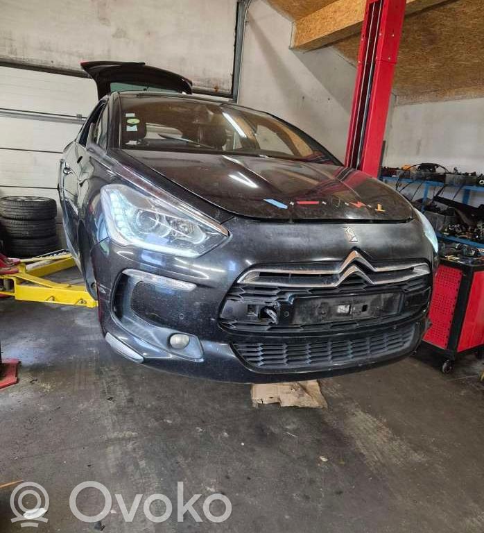 DS5 DS5  3006