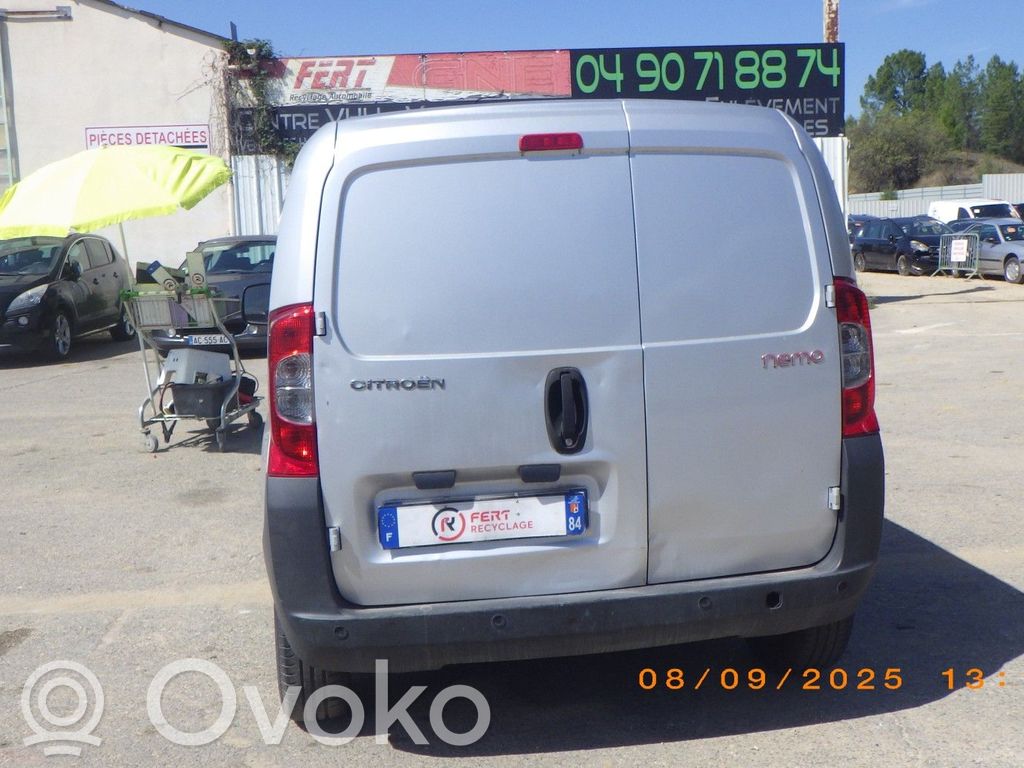 Nemo Nemo  1608302780