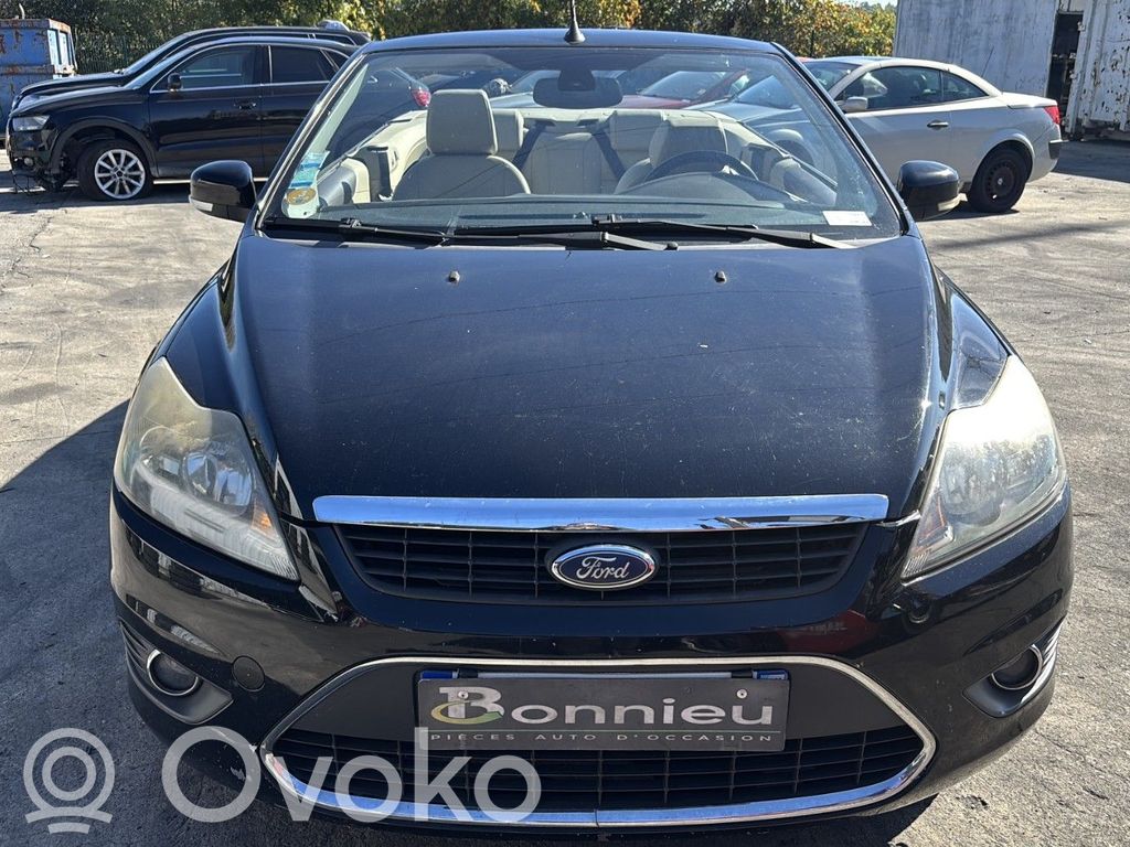 Focus Focus  1708682