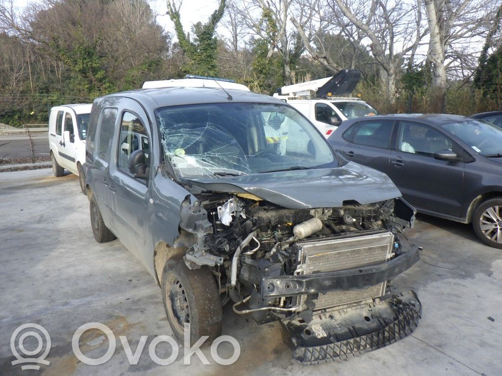 Kangoo II Kangoo  8201718067
