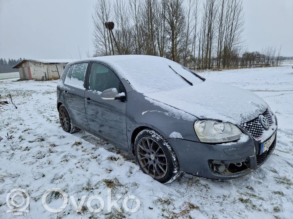 Golf V Golf  B8805