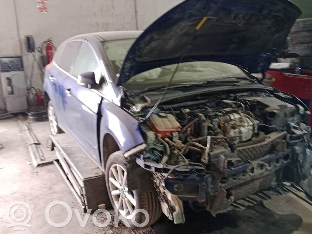 Focus Focus  10103851