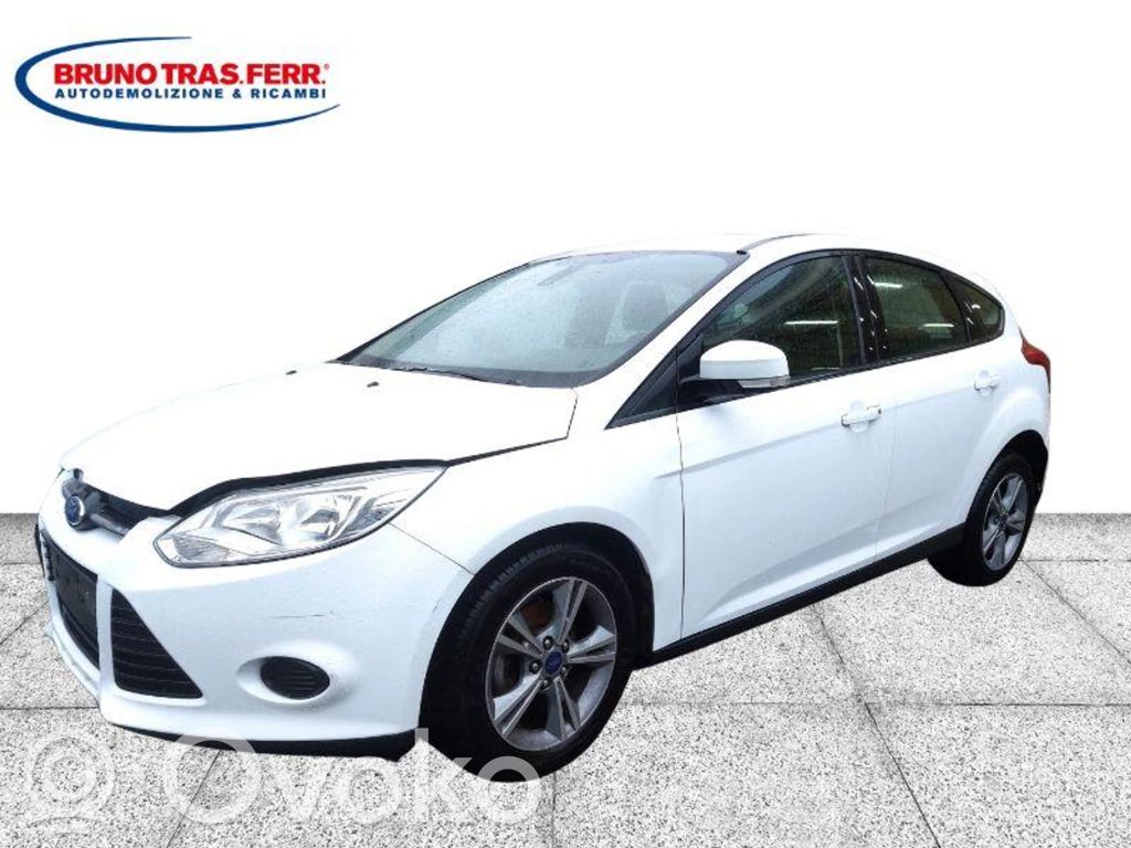 Focus Focus  1920840