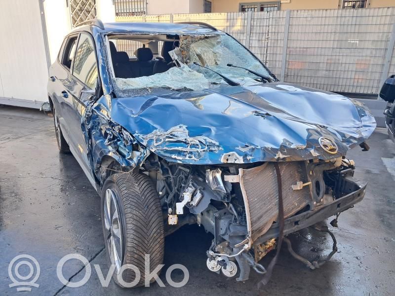 Karoq Karoq  5Q4959592R
