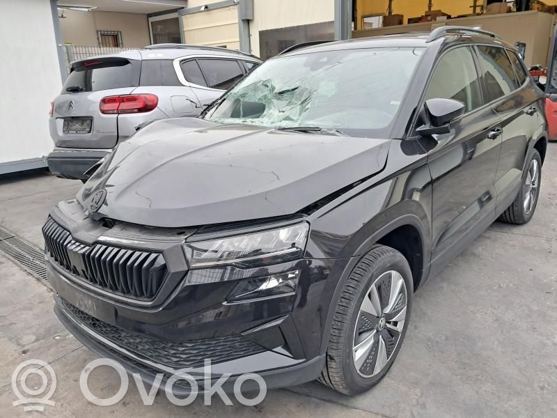 Karoq Karoq  5R4419512F