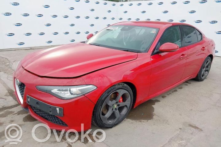 Giulia Giulia  20690207