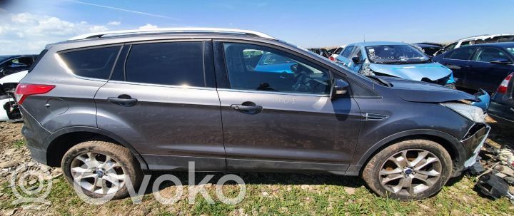 Kuga II Kuga  2413515