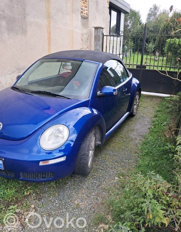 New Beetle Beetle