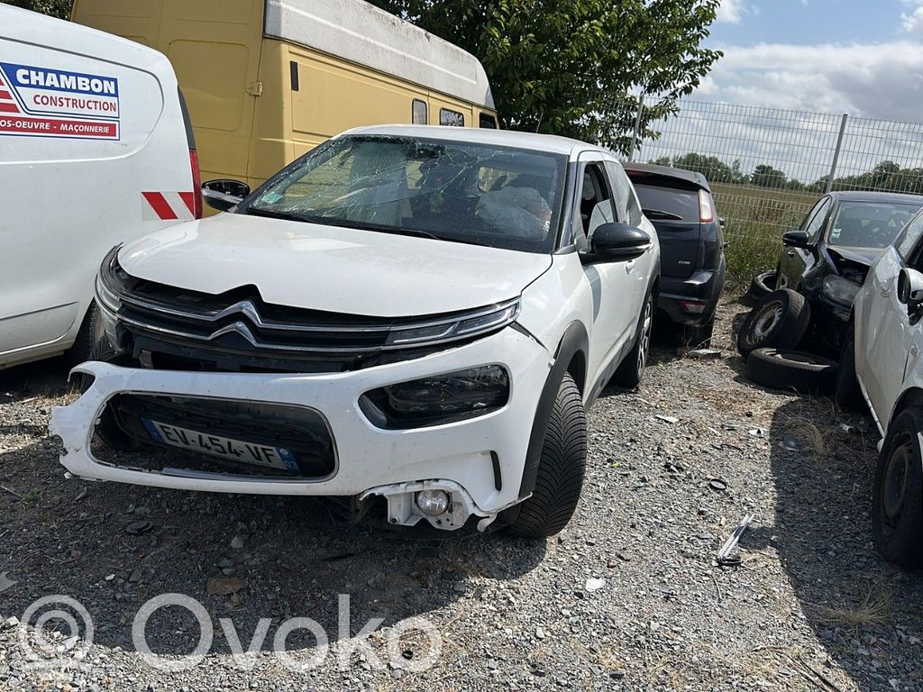 C4 Cactus C4 Picasso, Grand Picasso, Aircross, Cactus  1648640180