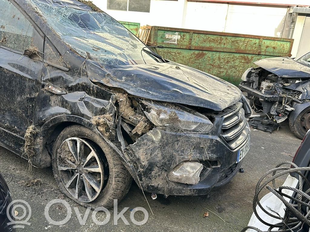 Kuga II Kuga  2417042