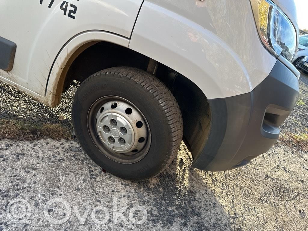 Ducato Ducato