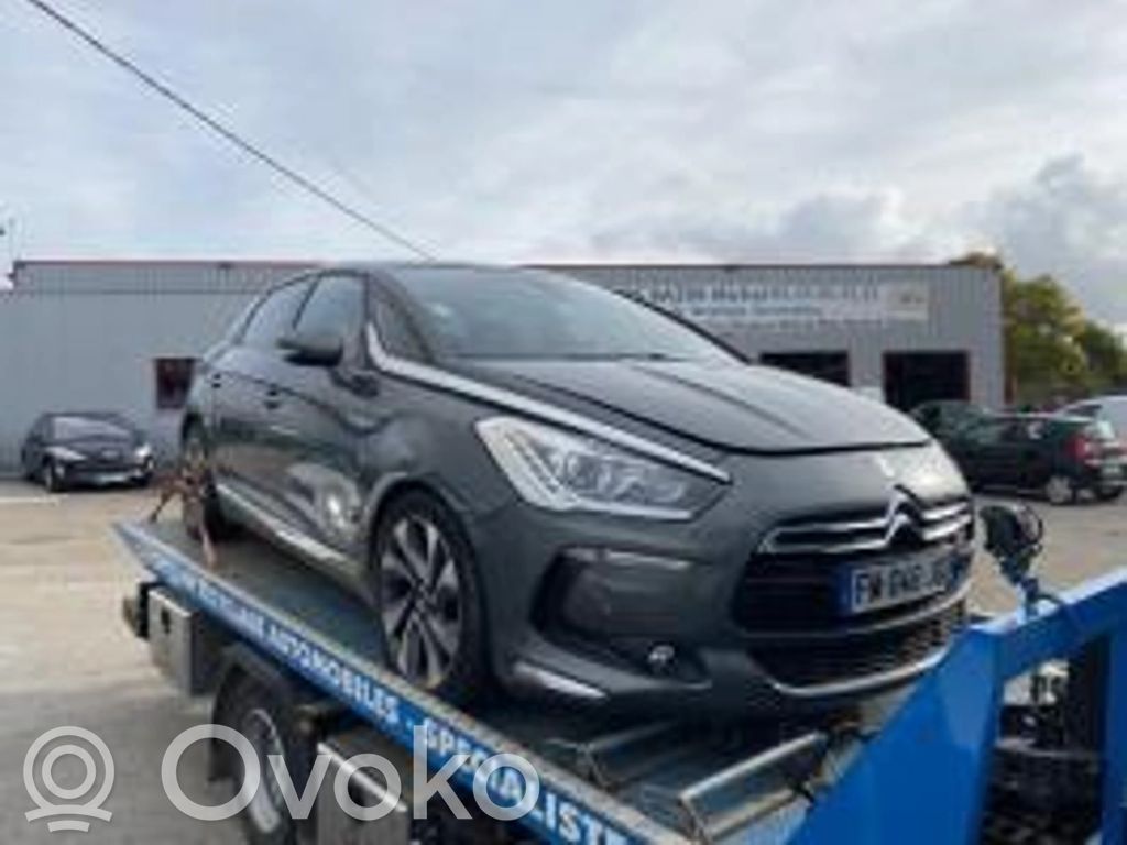 DS5 DS5