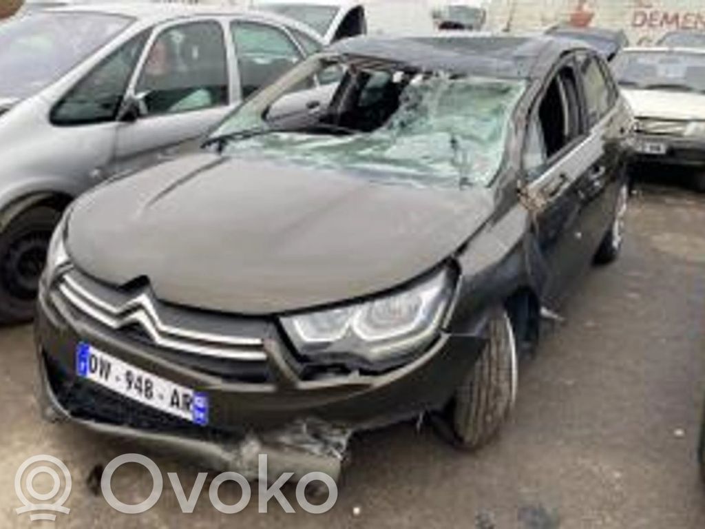 C4 II C4 Picasso, Grand Picasso, Aircross, Cactus  98039712ZD