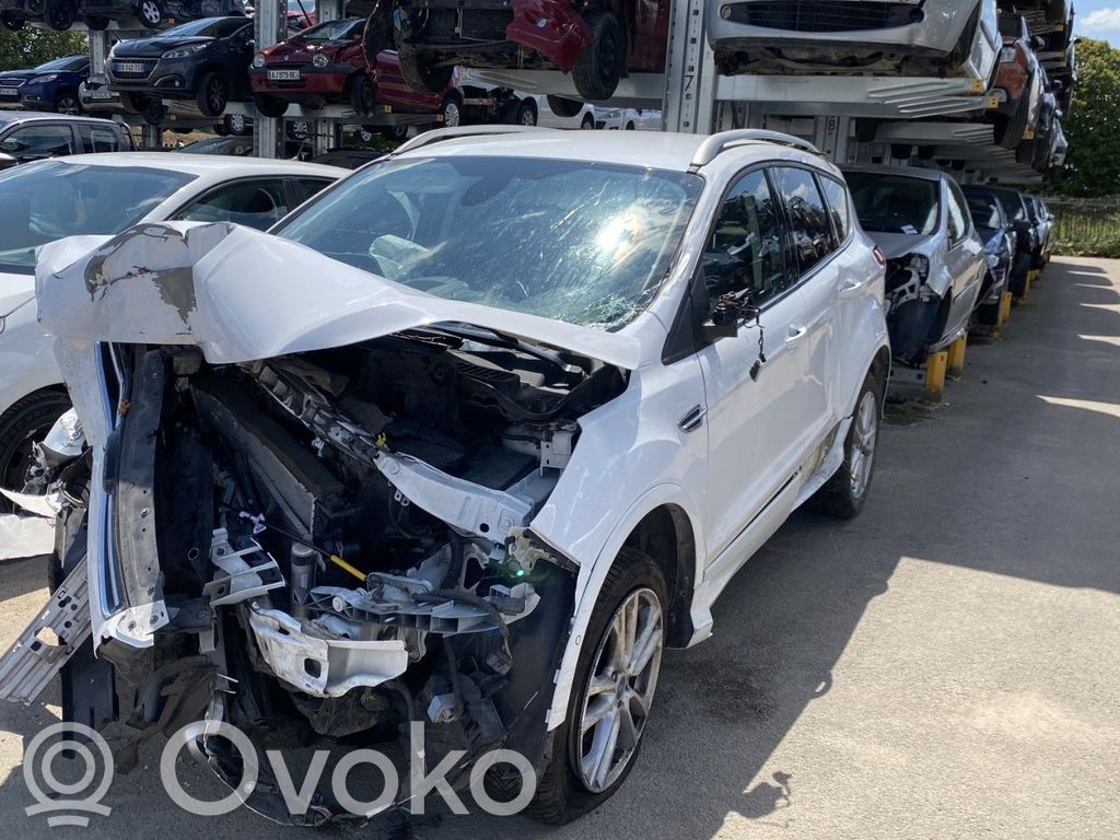 Kuga II Kuga  1787264