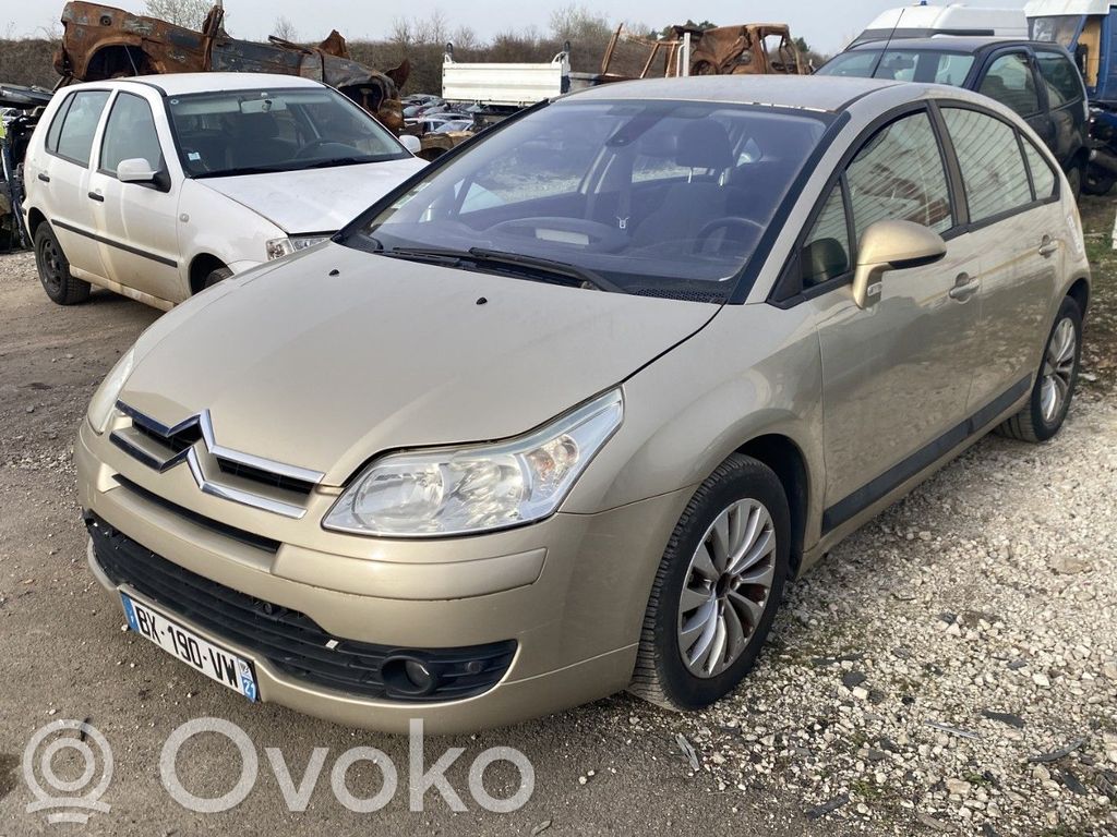 C4 I C4 Picasso, Grand Picasso, Aircross, Cactus  4541E4