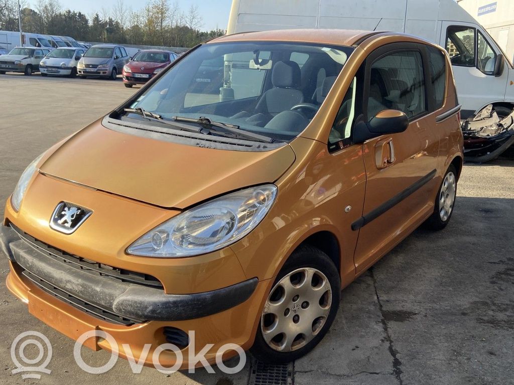 1007 1007  8974V8