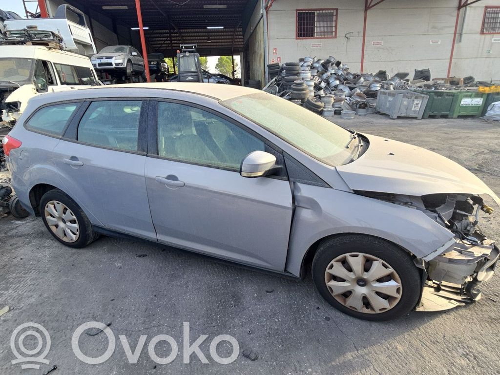 Focus Focus  2073366