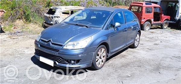 C4 Aircross C4 Picasso, Grand Picasso, Aircross, Cactus  9651132880