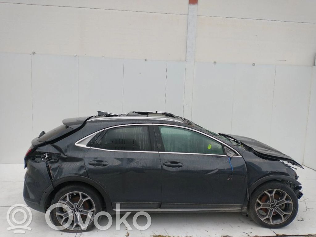 Xceed XCeed  028009