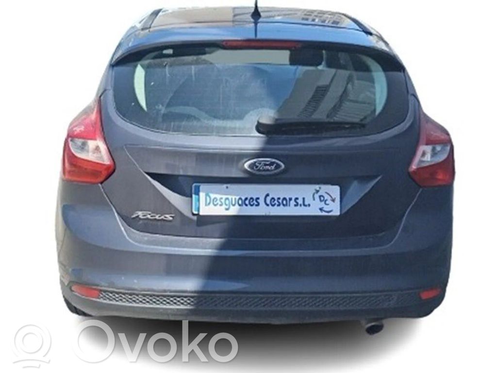 Focus Focus  1706278