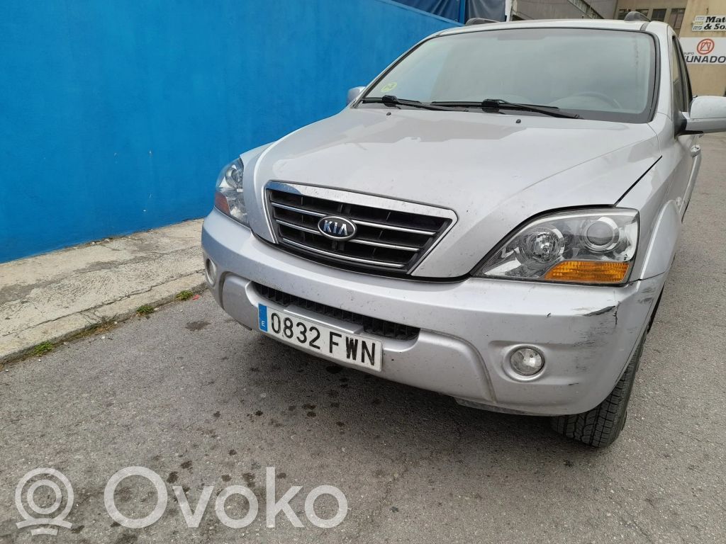 Sorento Sorento  663213E141