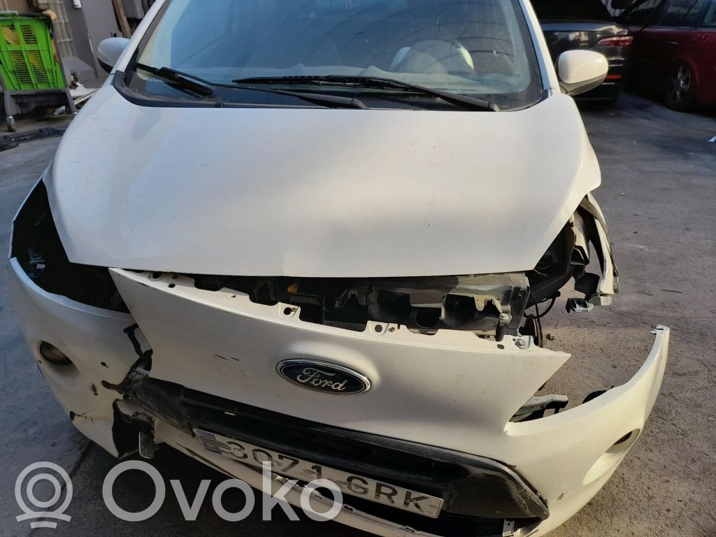 Ka Ka  1570628