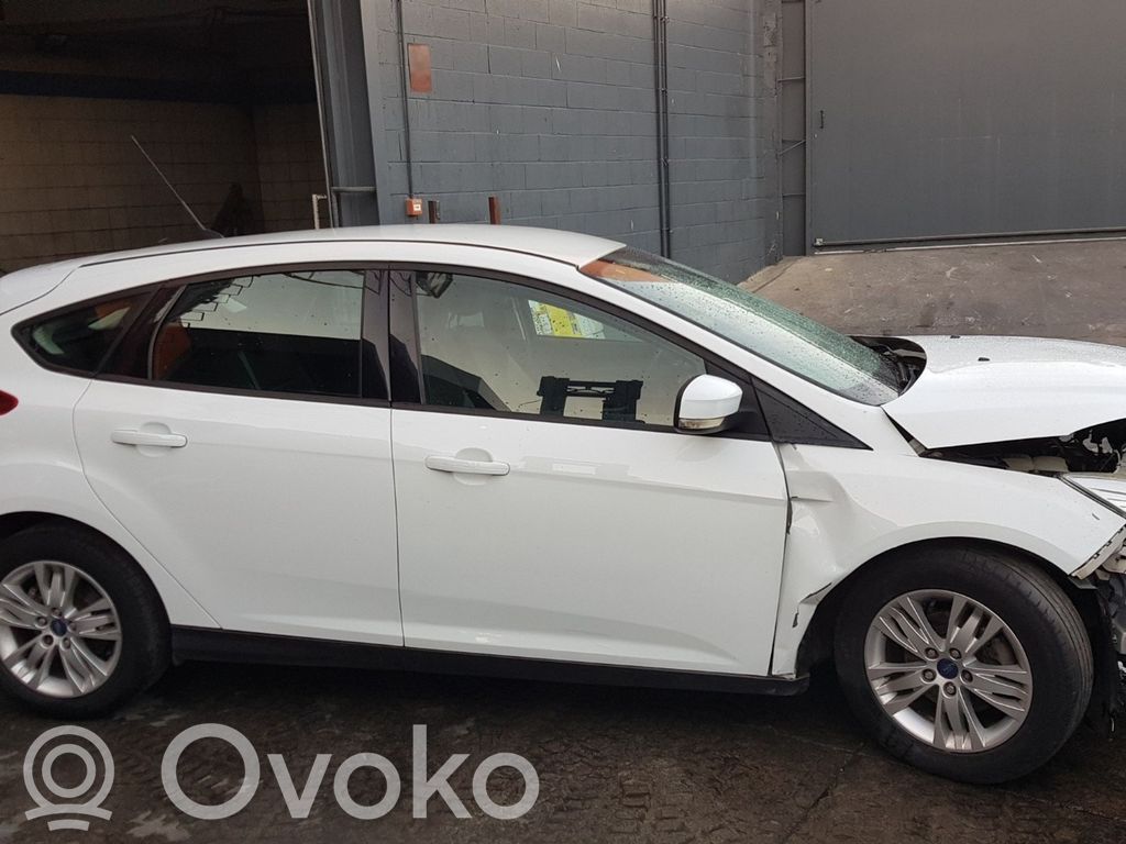 Focus Focus  5314904