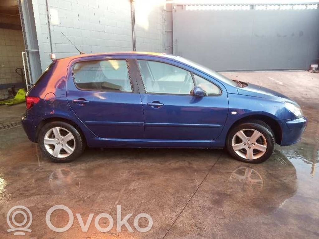 307 307  9636635380
