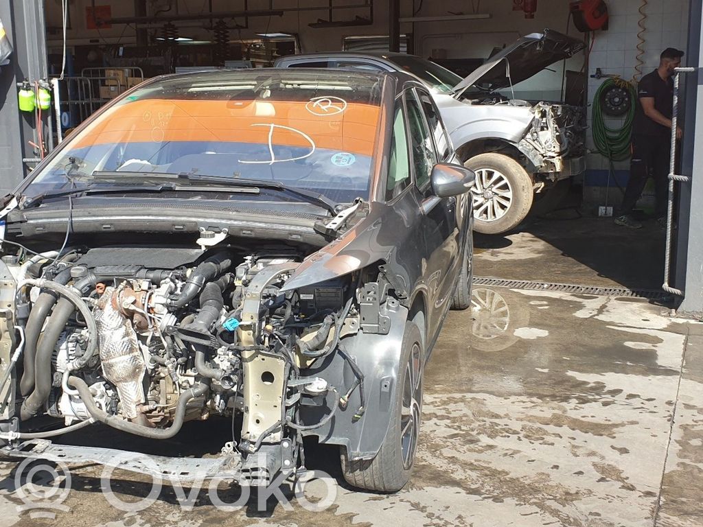 C4 Cactus C4 Picasso, Grand Picasso, Aircross, Cactus  9674077280