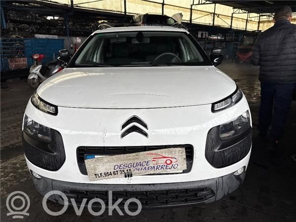 C4 Cactus C4 Picasso, Grand Picasso, Aircross, Cactus  34138520
