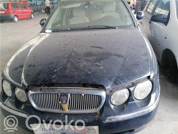 75 75