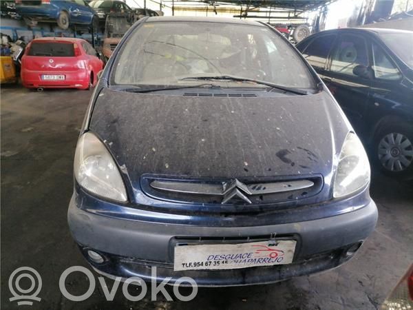 Xsara Xsara, Xsara Picasso