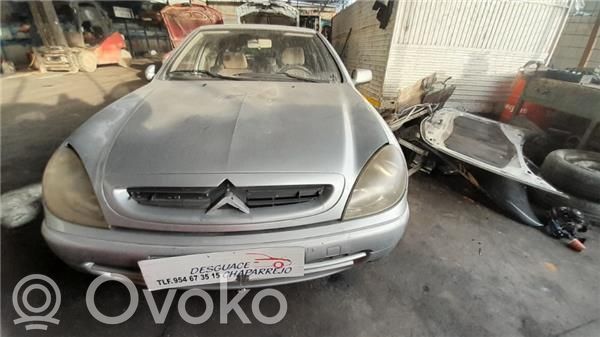 Xsara Xsara, Xsara Picasso