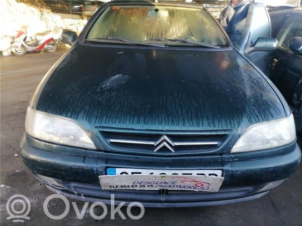 Xsara Xsara, Xsara Picasso