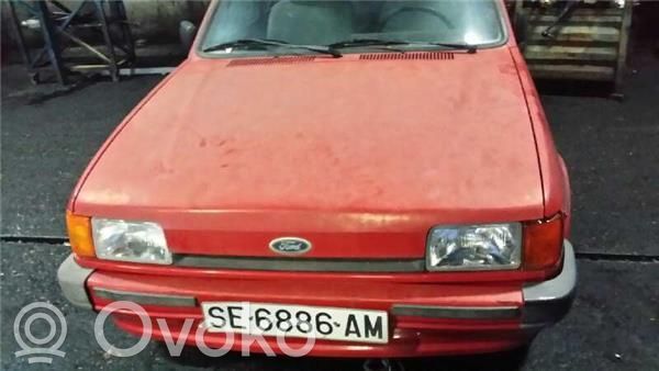 Fiesta Fiesta  1113009