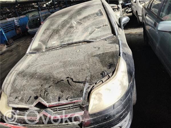 C4 I C4 Picasso, Grand Picasso, Aircross, Cactus  SW9658344580