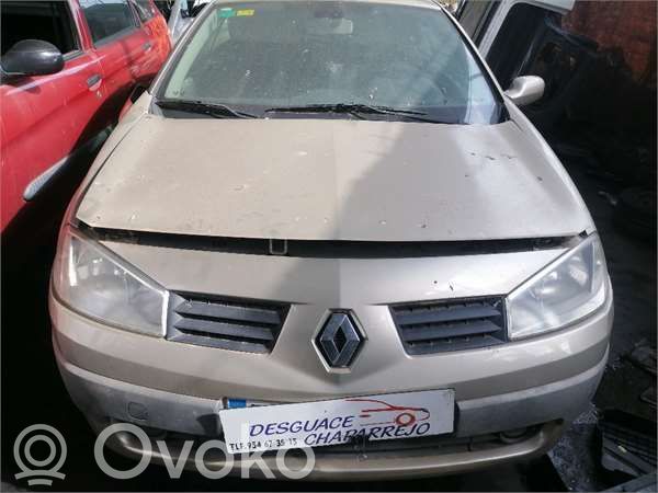 Megane II Megane  618300039