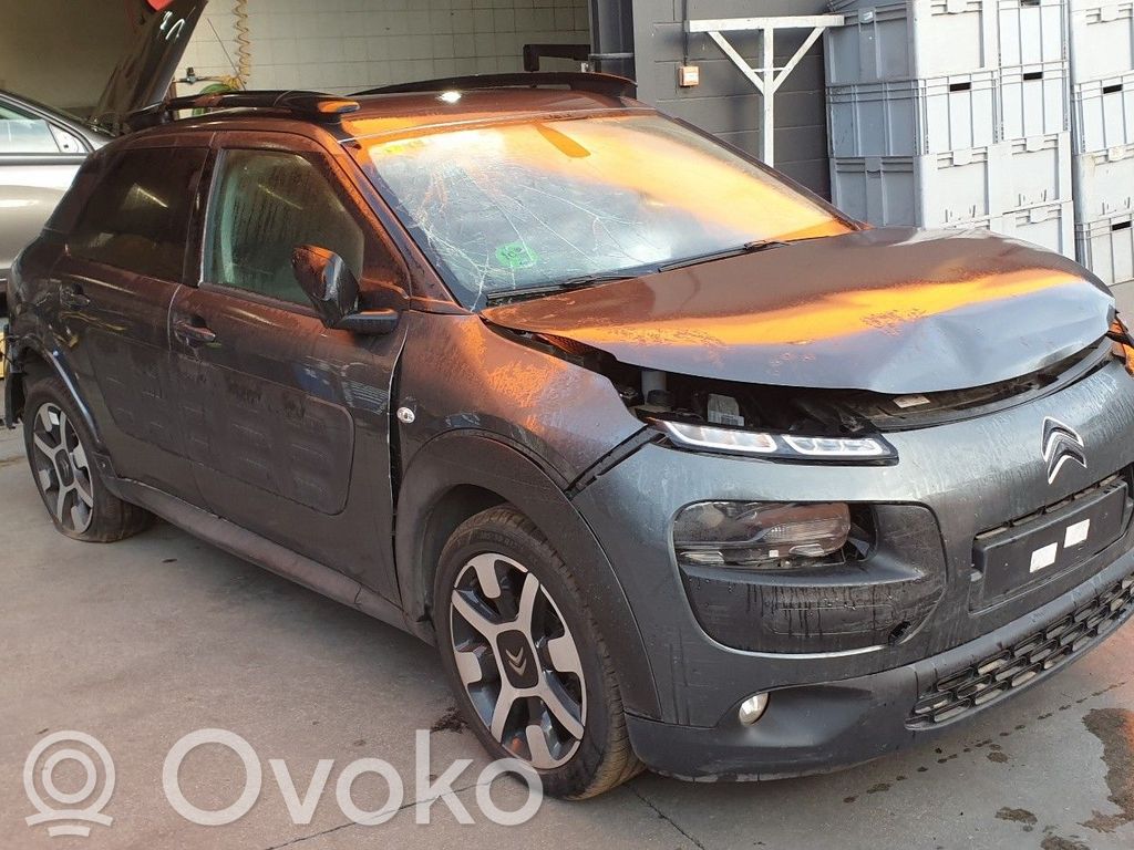 C4 Cactus C4 Picasso, Grand Picasso, Aircross, Cactus  9801219180