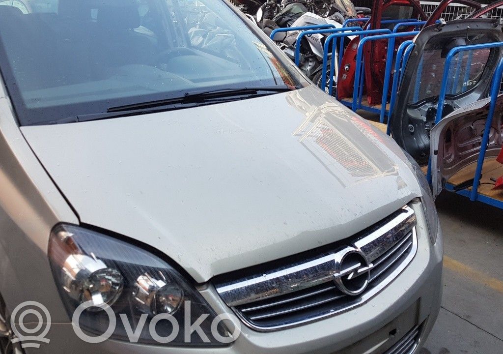 Zafira B Zafira  13129195