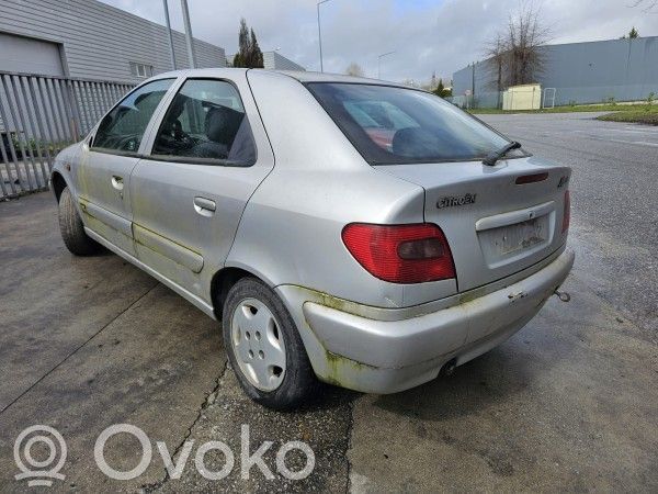 Xsara Xsara, Xsara Picasso