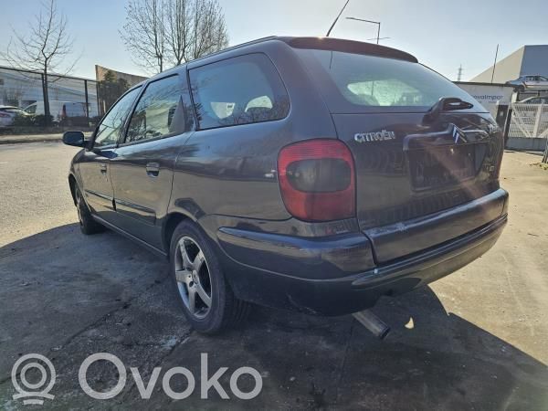 Xsara Xsara, Xsara Picasso