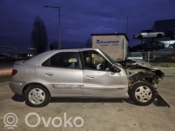 Xsara Xsara, Xsara Picasso