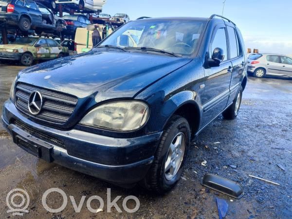 ML W163 ML-class, AMG (W163, W164, W166)