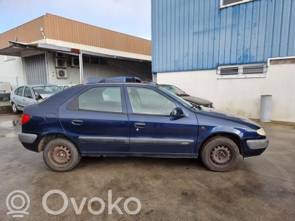 Xsara Xsara, Xsara Picasso