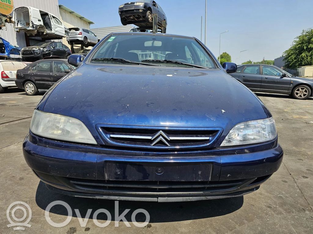 Xsara Xsara, Xsara Picasso