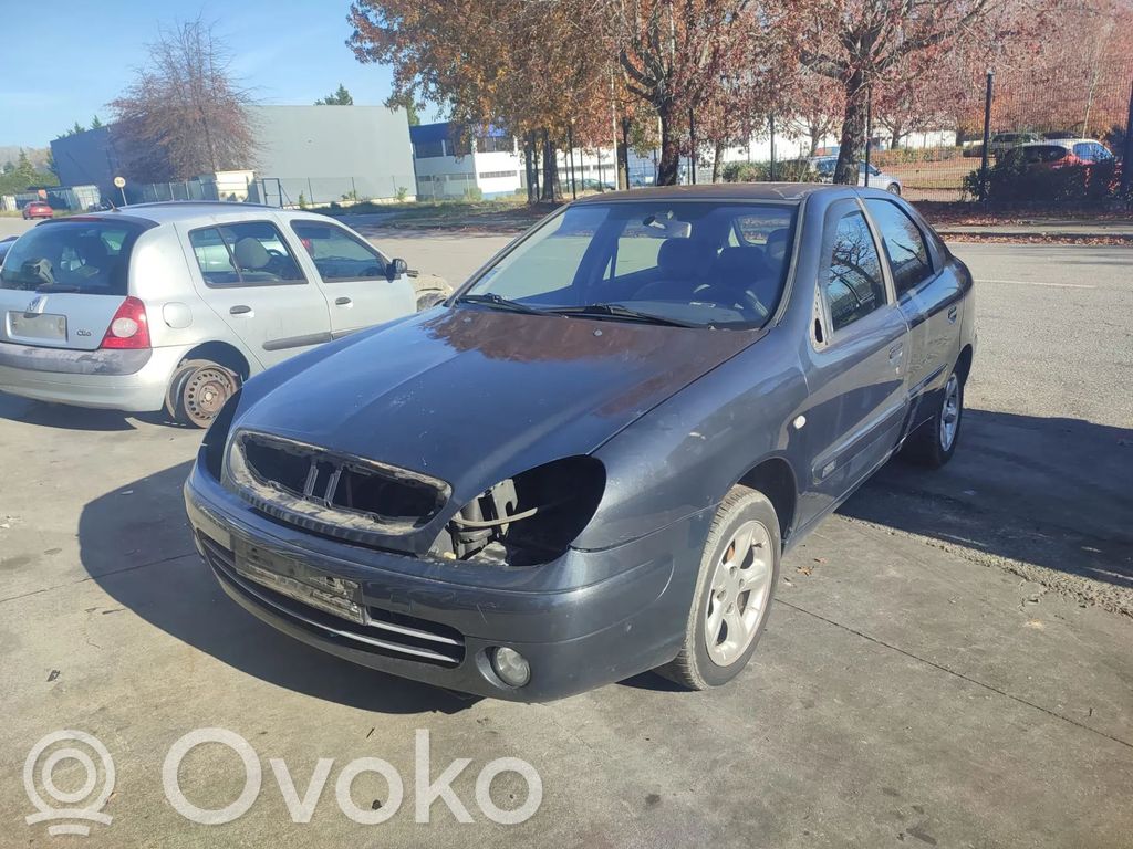 Xsara Xsara, Xsara Picasso